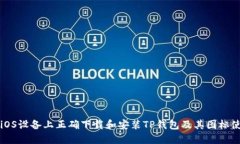 如何在iOS设备上正确下载和安装TP钱包及其图标使